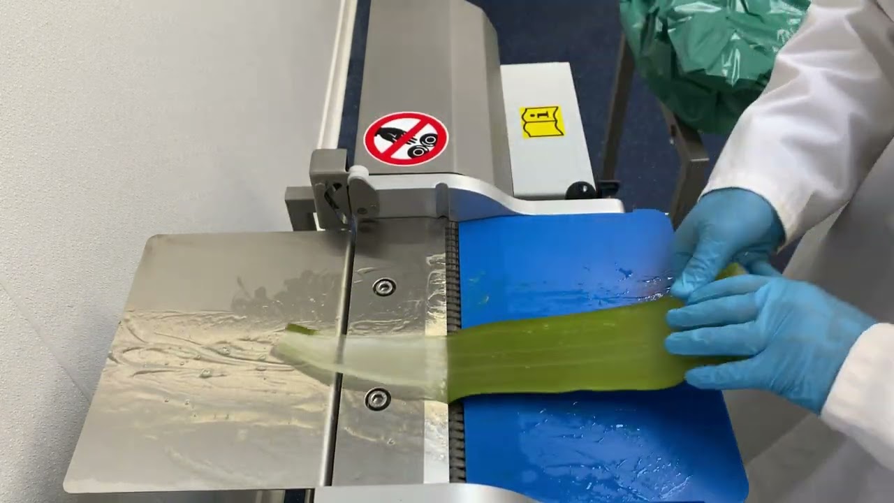 ST111- Aloe Vera peeling - straight leaves