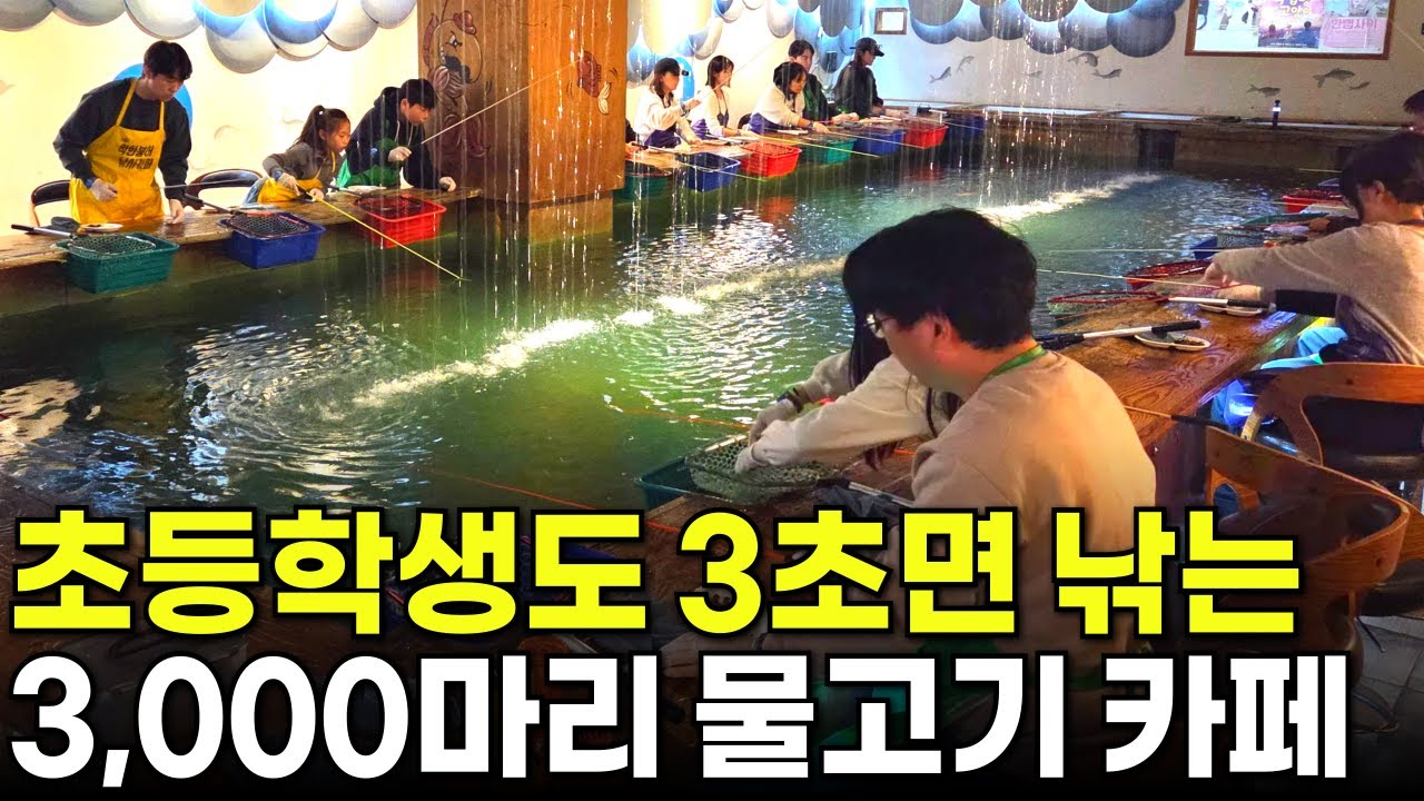 초등학생도 3초면 가능하다! 3,000마리 물고기를 직접 관리하는 20년 경력 사장님[착한붕어낚시카페] 휴먼스토리ㅣ자영업자이야기ㅣ장사의신ㅣ인터뷰