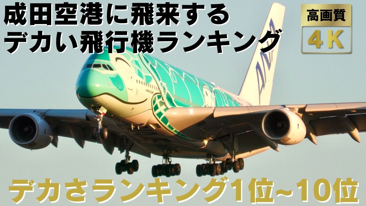 【成田空港 NRT】成田空港に飛来する迫力満点のデカすぎる飛行機ランキング1位~10位! 羽田を超える超大型機のエンジン音フルマックス離着陸・地上走行をランキング形式でお届けします!