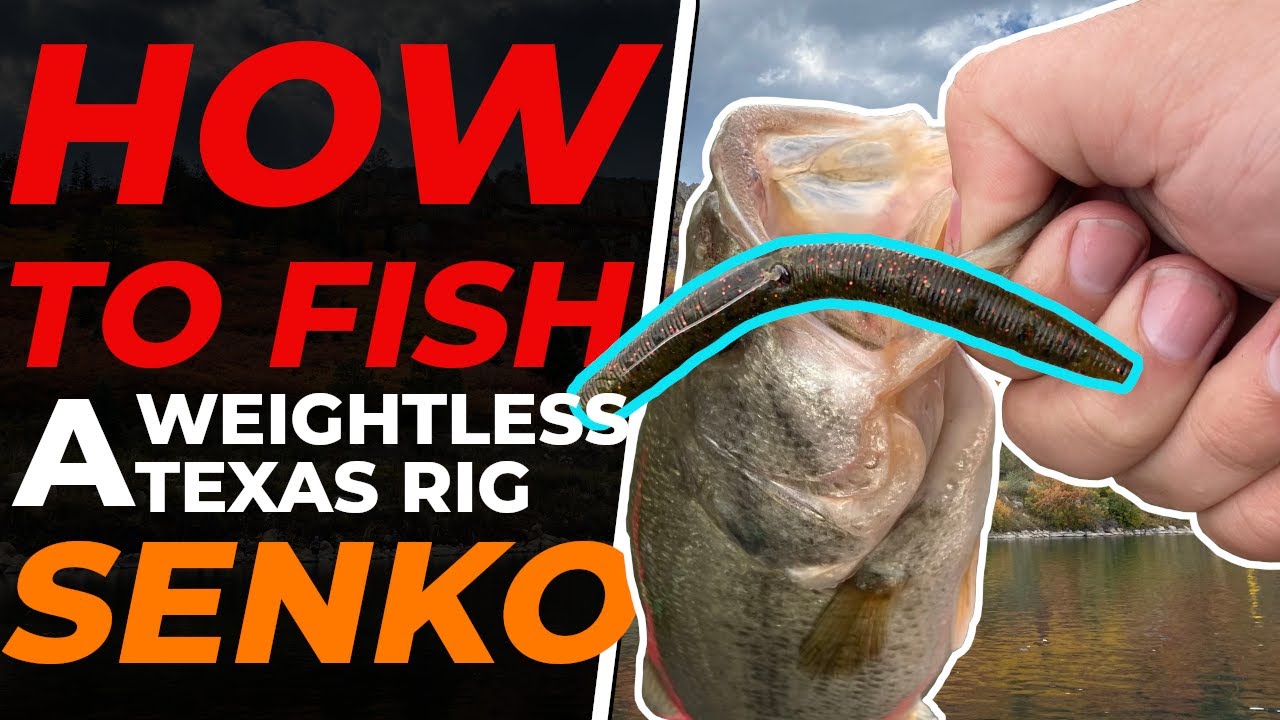 Как ловить рыбу на невесомую техасскую оснастку Senko | Также известную как Stickbait или Yum Dinger