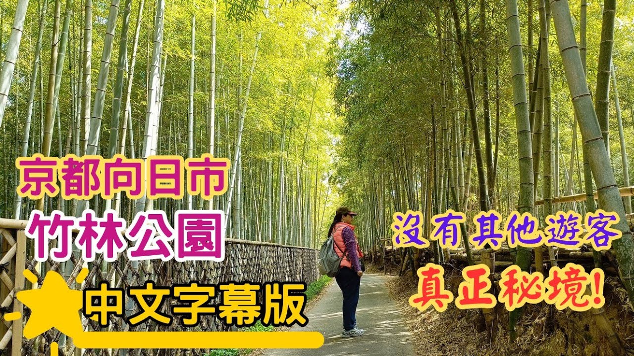 京都．向日市竹林公園 竹之徑 (附中文字幕)