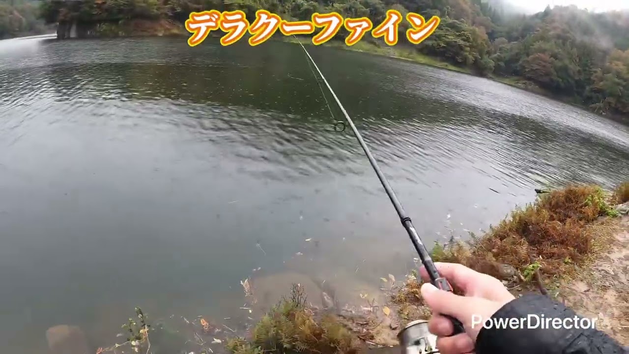 PIYOMOのおかっぱり日記(2025年 66釣行目)[室生ダム]