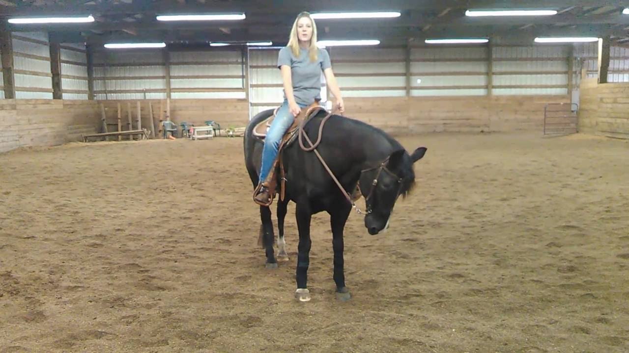 Foundation's of a Broke Horse: The Rollback