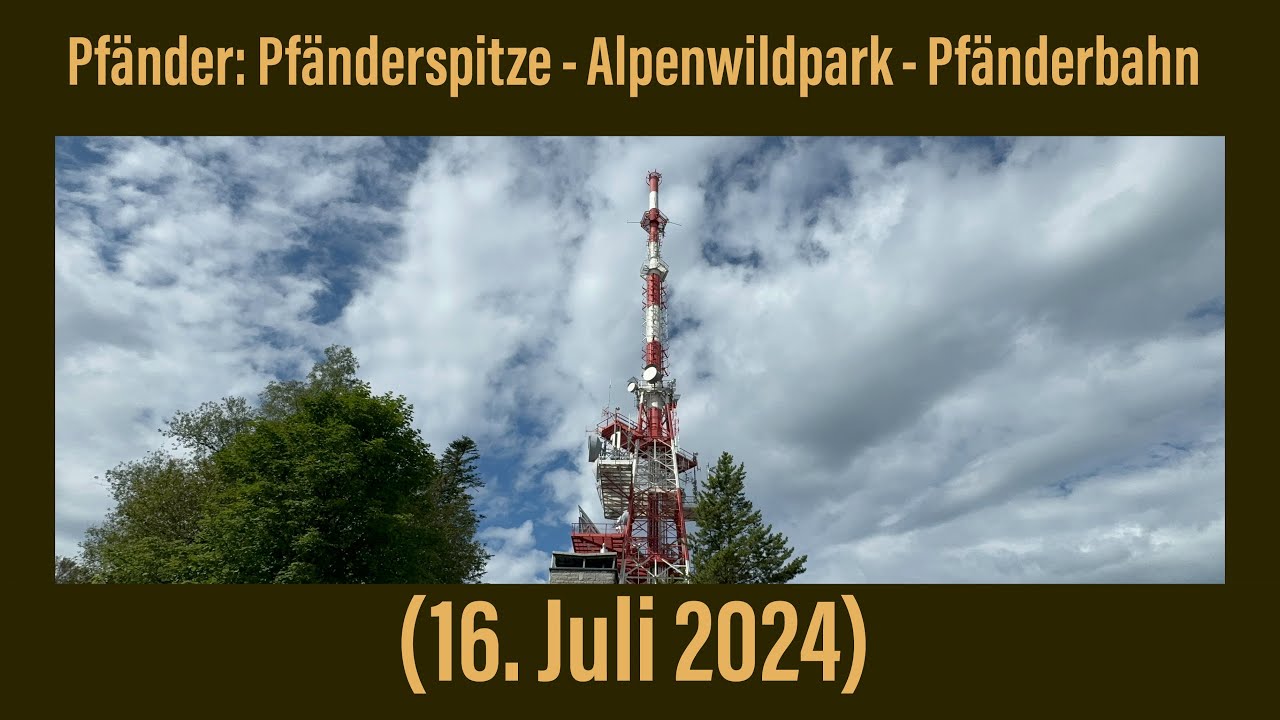 Pfänder [1064 m] (16. Juli 2024)