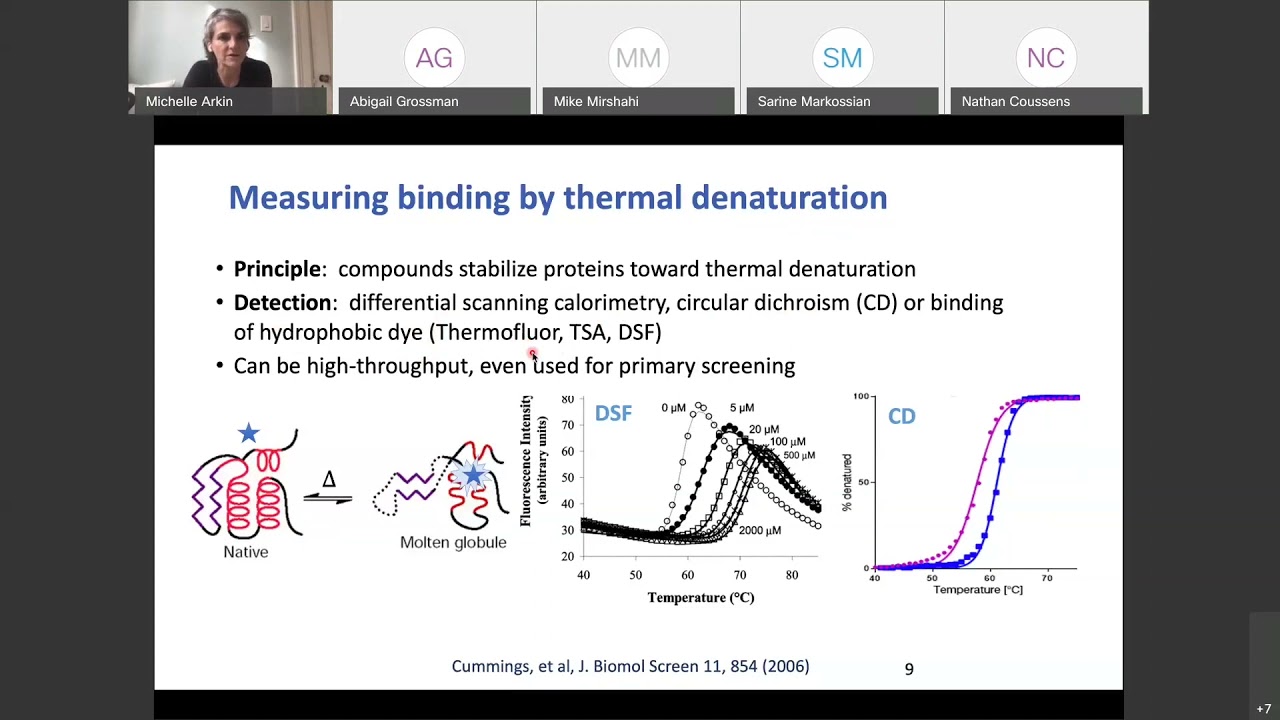 Biophysical Approaches to Small Molecule Discovery and Validation