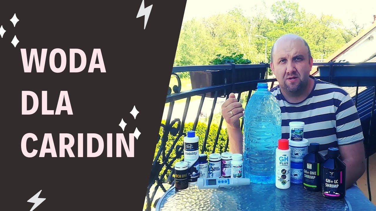 Jak przygotować wodę dla krewetek CARIDINA i NEOCARIDINA / Krewetkarium