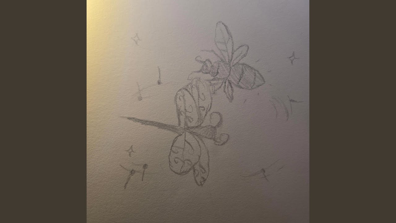 Dragonfly (Live)