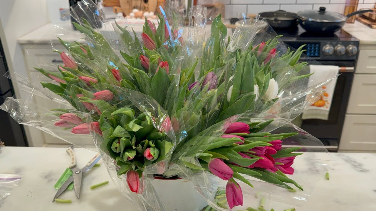 Unboxing flowers 🌺 #tulips #flowerfarm 