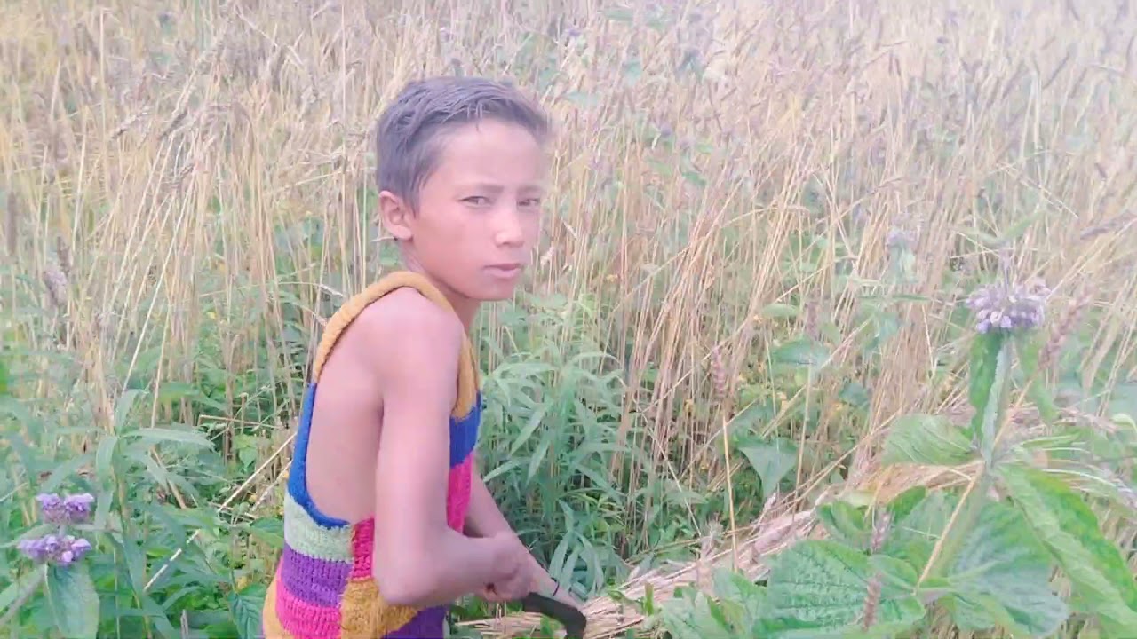Real life of Humli people