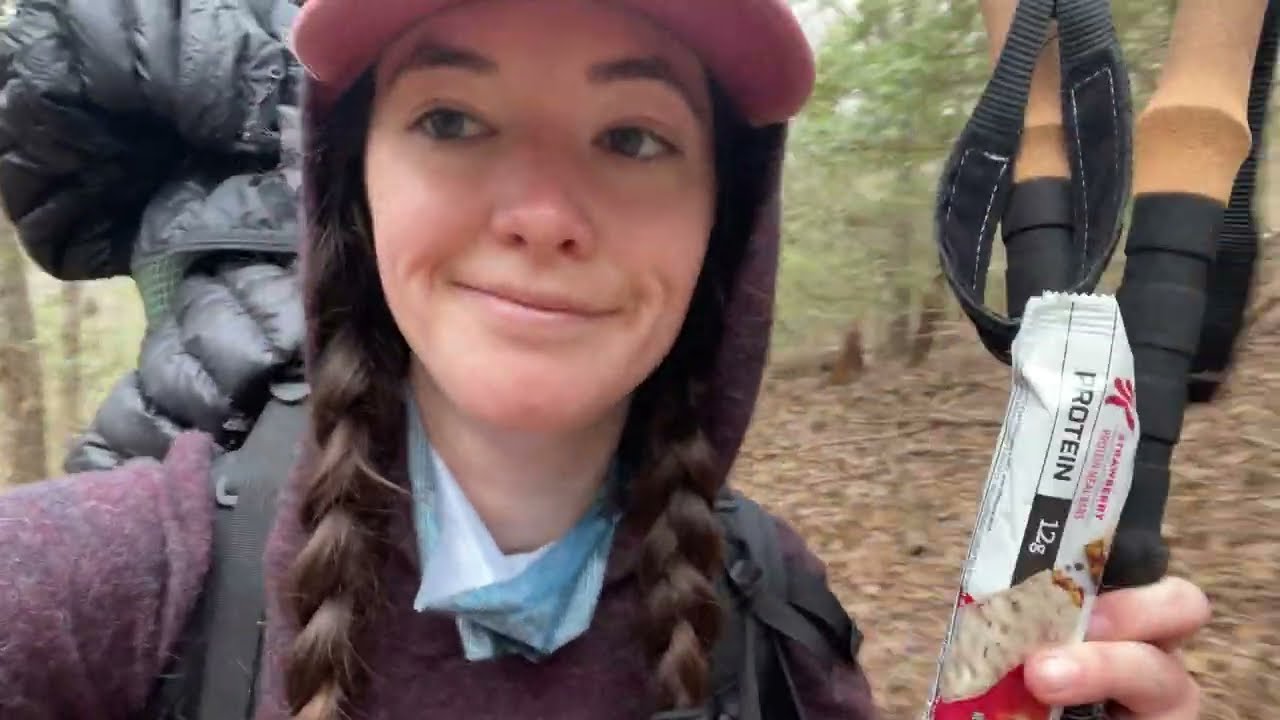 Day 3: Gooch Mountain Shelter to Woody Gap || Appalachian Trail 2022