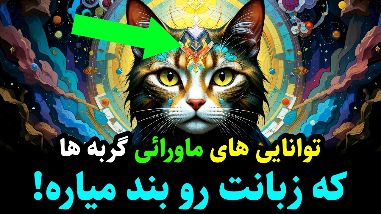 توانایی ماورائی گربه ها که زبانت رو بند میاره! رازهای گربه ها از نگاه متافیزیک