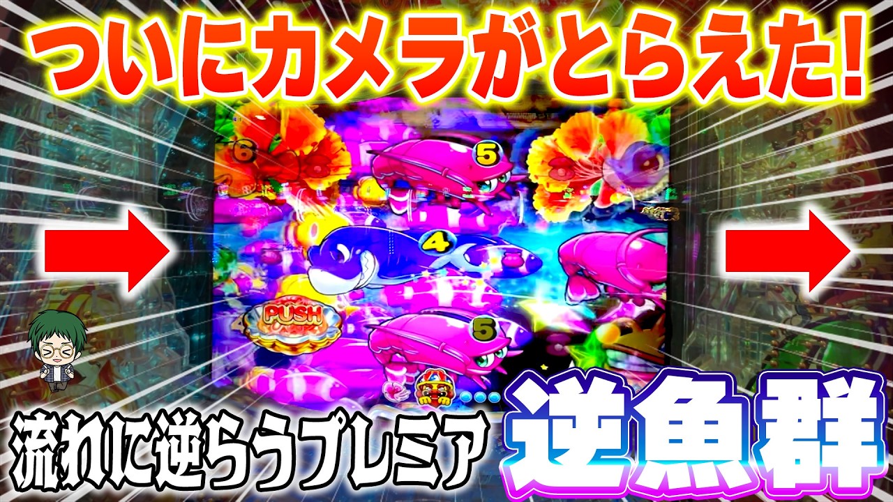 【遊1458連】逆魚群をついにカメラがとらえた！めったに見ることが出来ないプレミアをとくとご覧あれ！【Pスーパー海物語IN沖縄6】