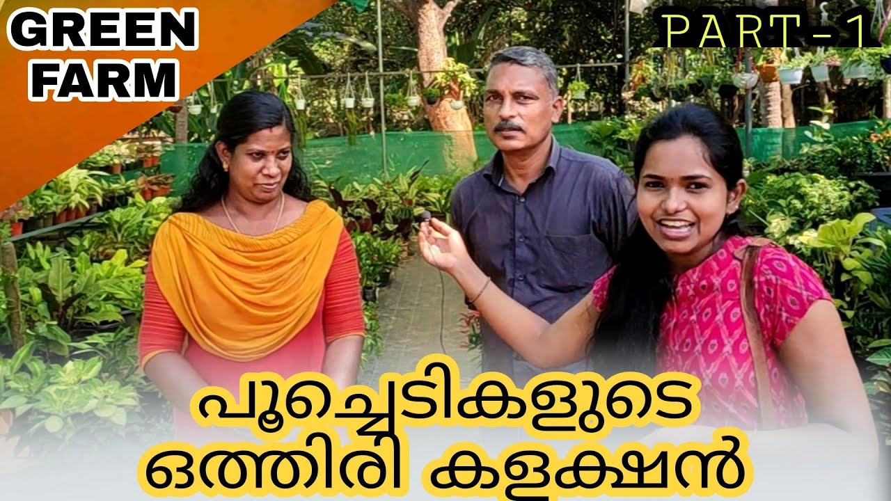 ഗ്രീൻഫാമിലെ പൂചെടികൾ | നിരവധി ചെടികളുമായി ഇരിഞ്ഞാലക്കുടയിലൊരു അടിപൊളി നഴ്സറി | EDAKULAM P. O