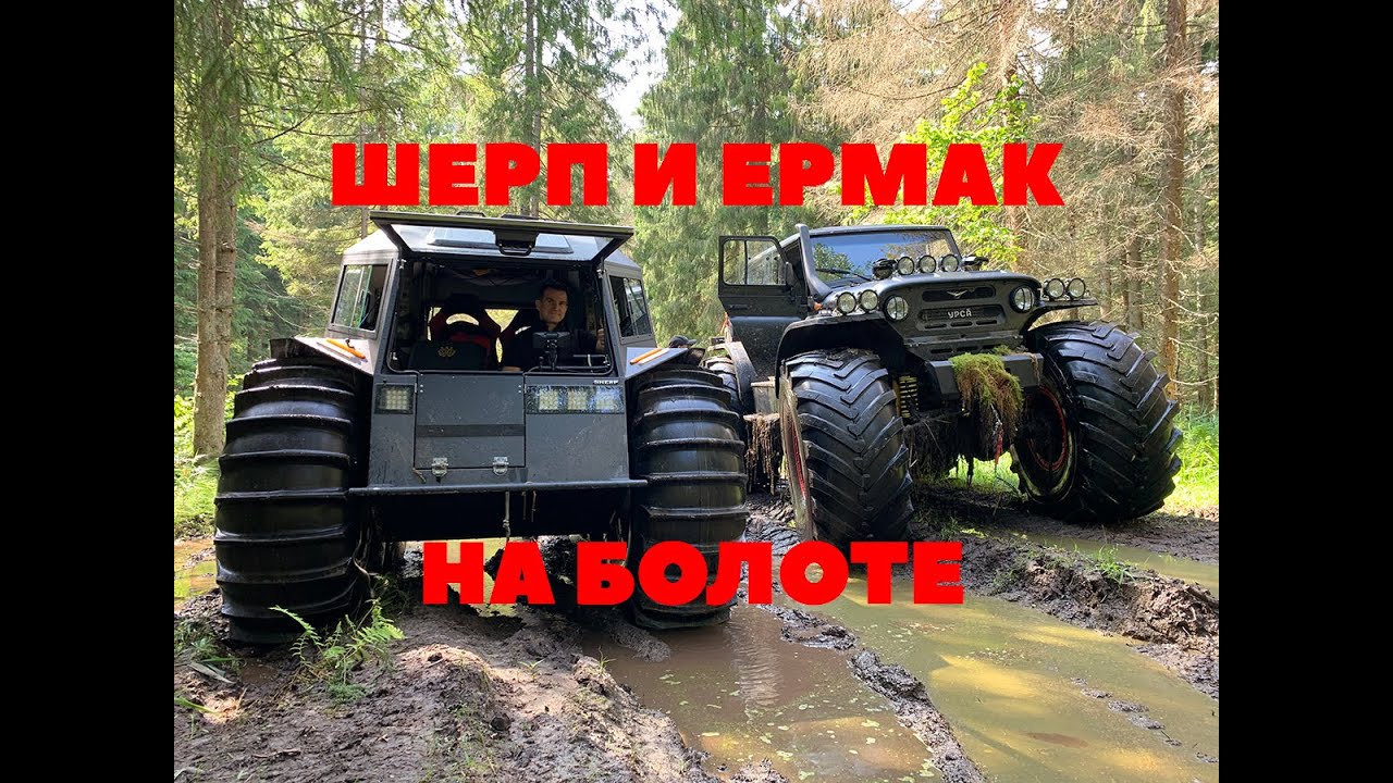 Шерп и Ермак решили прокатиться вместе на одном болоте!