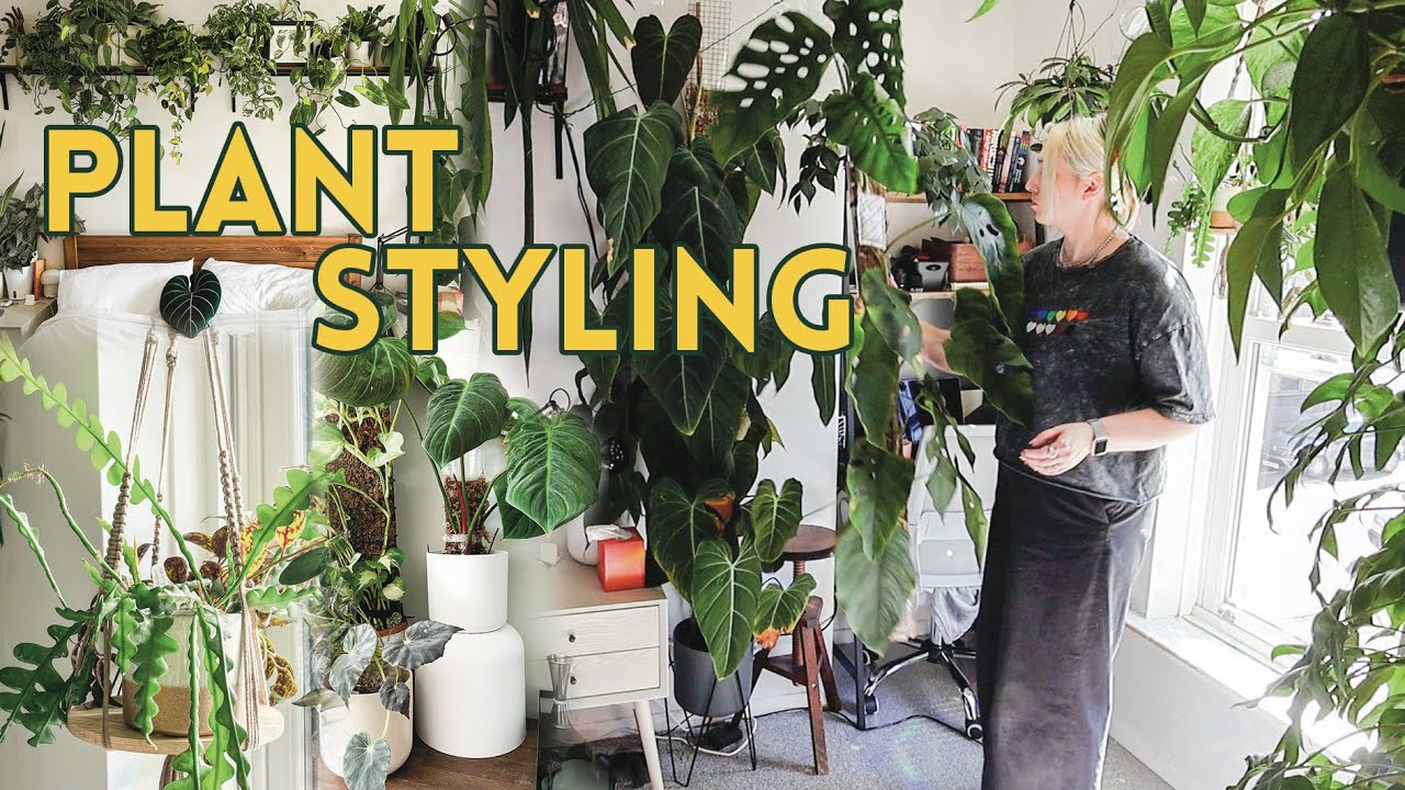How to Style the Ultimate Indoor Jungle 🪴🌿 20 Must-Know Tips!