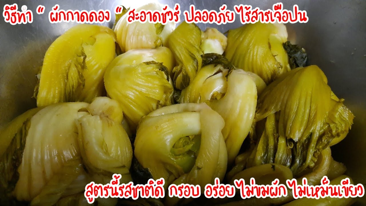 วิธีทำผักกาดดอง สะอาดชัวร์ ปลอดภัย ไร้สีไร้สารเจือป่น สูตรนี้รสชาติดีกรอบอร่อยไม่ขมไม่เหม็นเขียวผัก