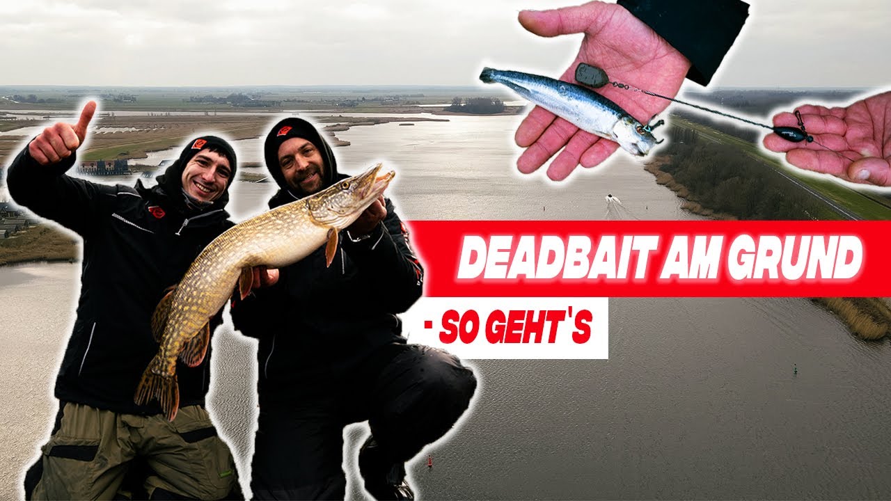 HECHTANGELN mit K&Ouml;DERFISCH am Grund 🎣 So f&auml;ngst du gro&szlig;e Hechte im Winter beim Deadbaiten ❄️