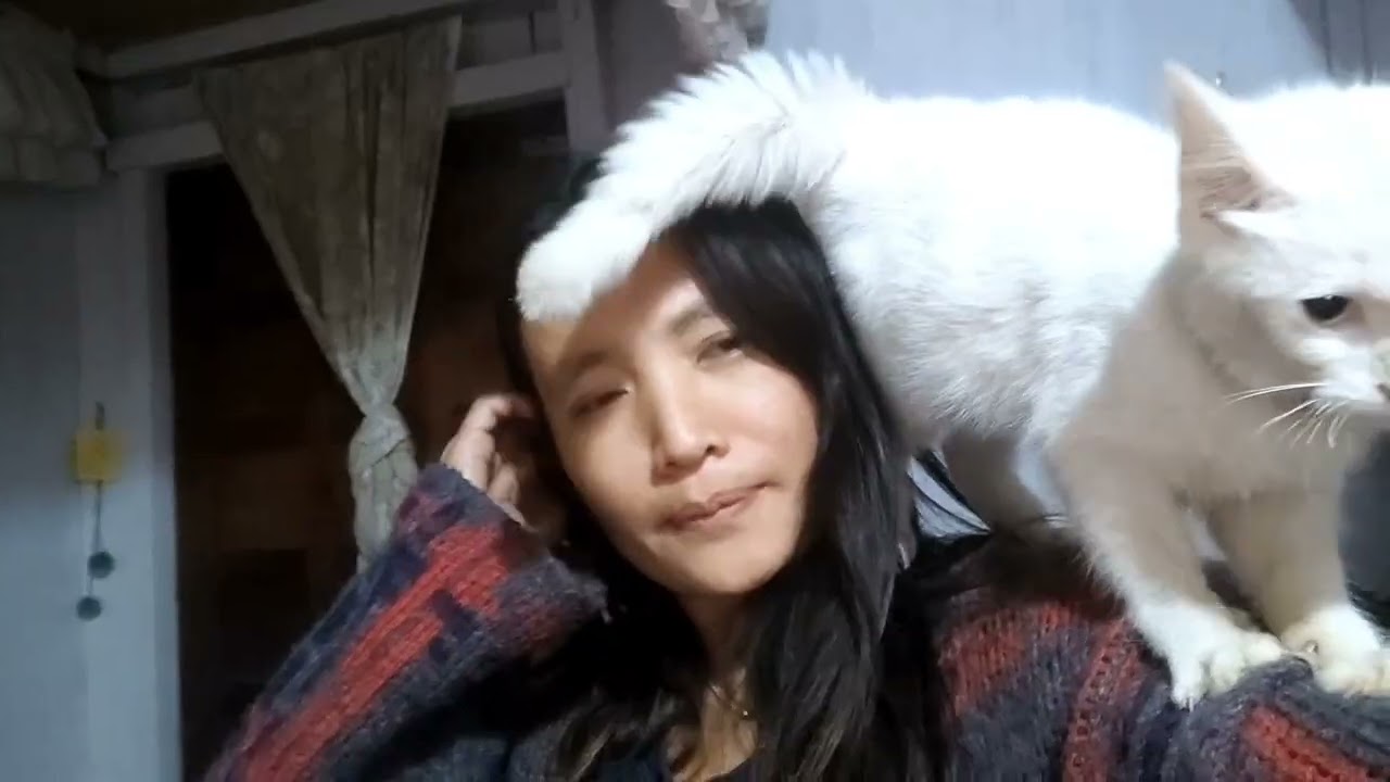 #short video vit snowy 🐈😍