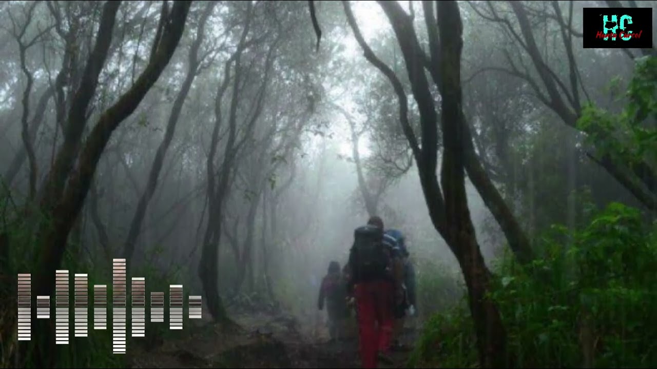 Tersesat Di Gunung Tertinggi Di Jawa - Nightmare On The Air