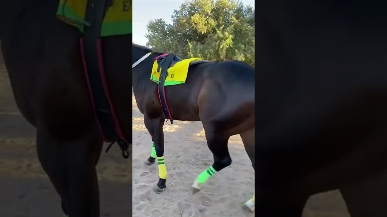 El agricultor 🧑‍🌾✍️