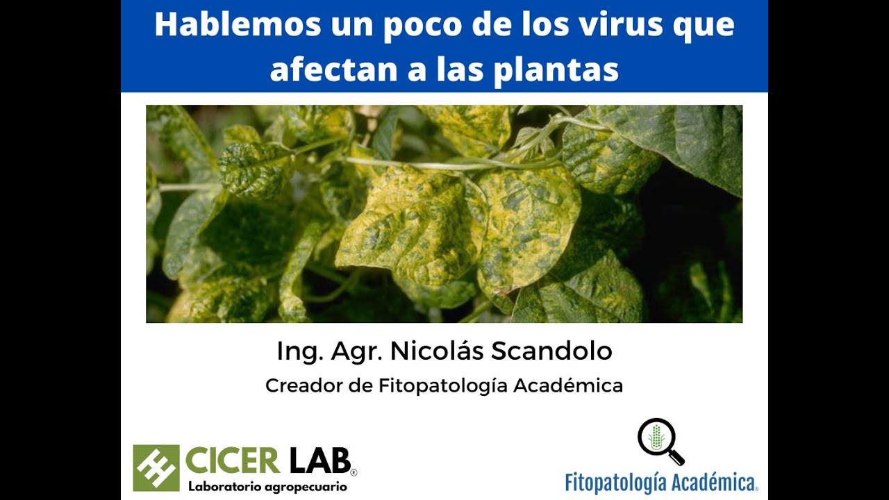 Virus que afectan a las plantas