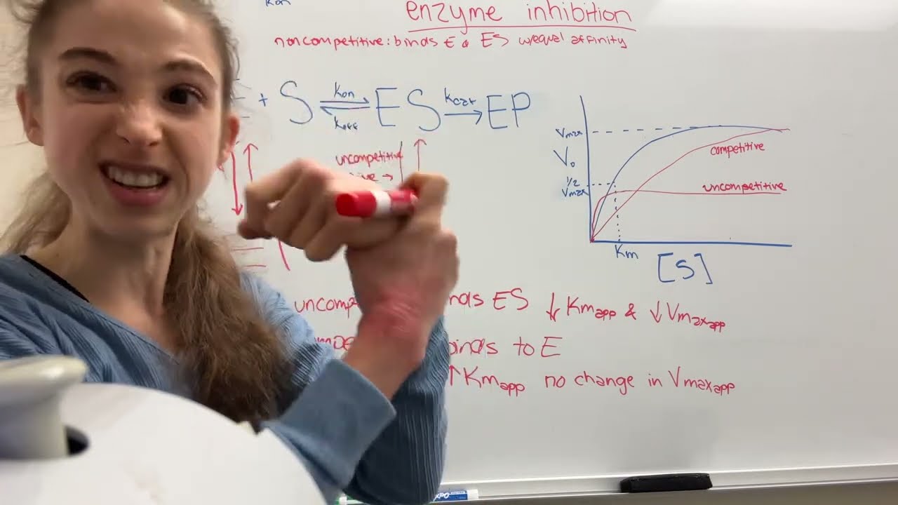 Types of enzyme inhibitors: competitive, noncompetitive, uncompetitive, & mixed inhibition