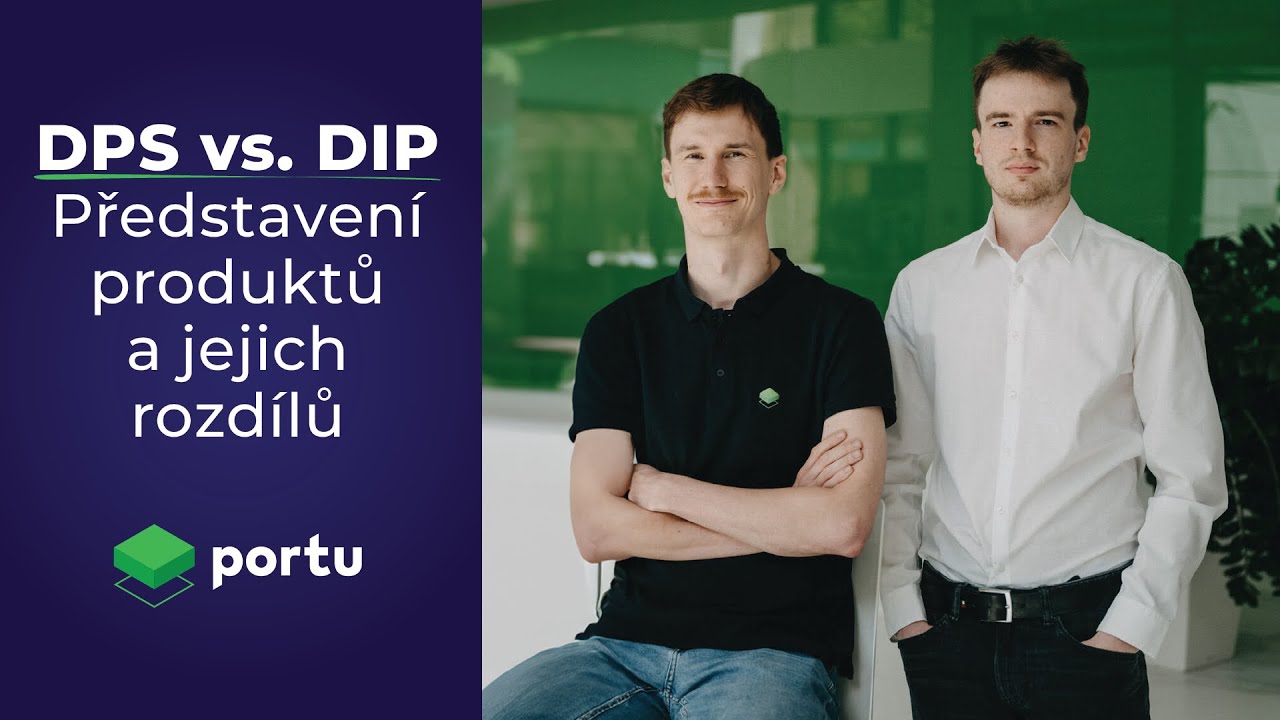 DPS vs. DIP | Jaké jsou rozdíly a který produkt vybrat?