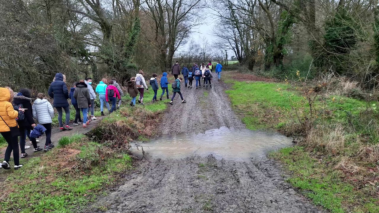 COLLEGE SALS : Sortie nature au Plessis Macé