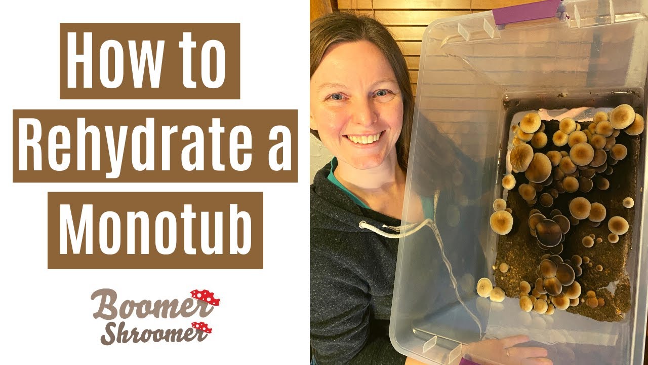How to Rehydrate a Monotub