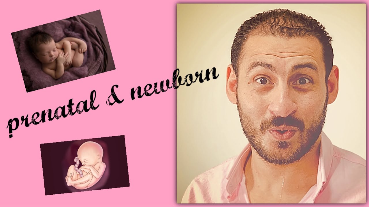 ح٥.ازاي أربي طفلي جنسيا قبل ولادته وفي السنه الاولى من عمره  ( أغرب  فيديو في كورس التربيه الجنسيه )