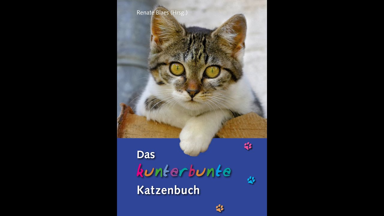 Das kunterbunte Katzenbuch