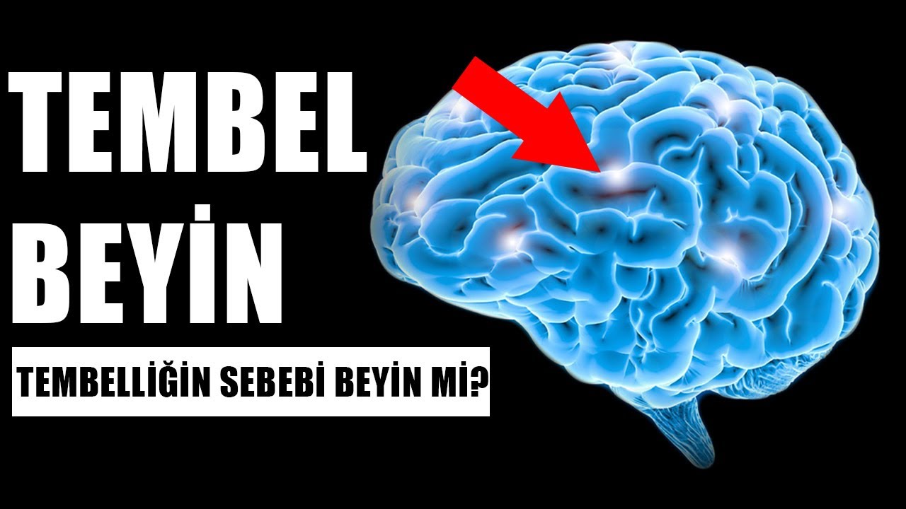 Tembel Beyin - Motivasyon videosu #motivasyonvideosu #kişiselgelişim #tembellik