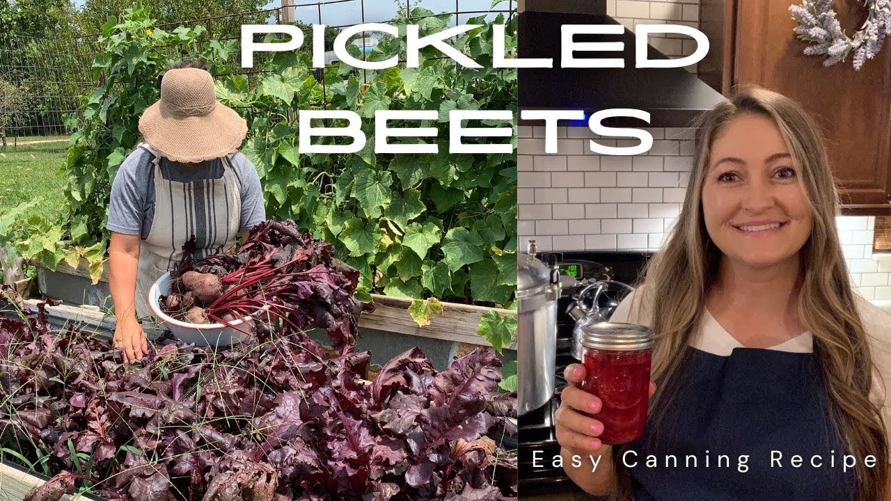 Easy Pickled Beet Recipe / Water-Bath Canning / Harvesting Beets in Your Kitchen / Seed to Harvest