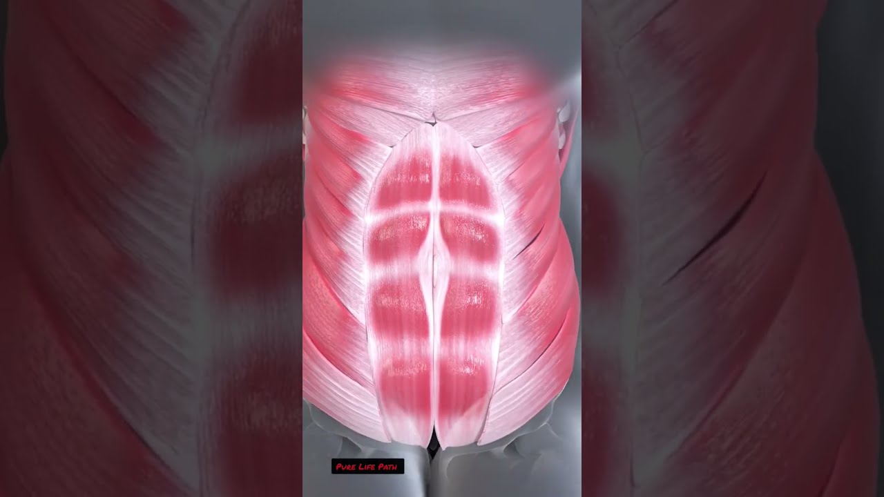 Does Drinking Alcohol Impact Muscle Growth - Unveiling the Connection 