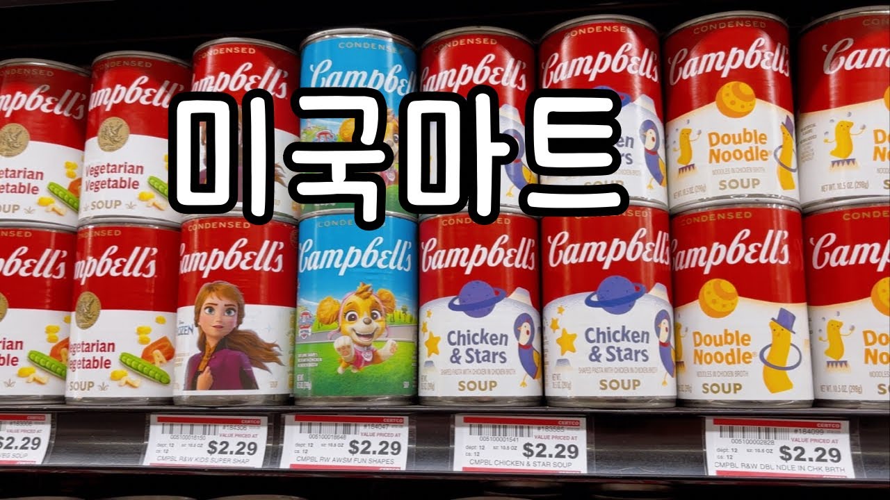 미국마트🇺🇸에서 장보기 브이로그🛒 |환율 때문에 52만 원어치 장보기가 되어버림 | 미국 시골 물가 