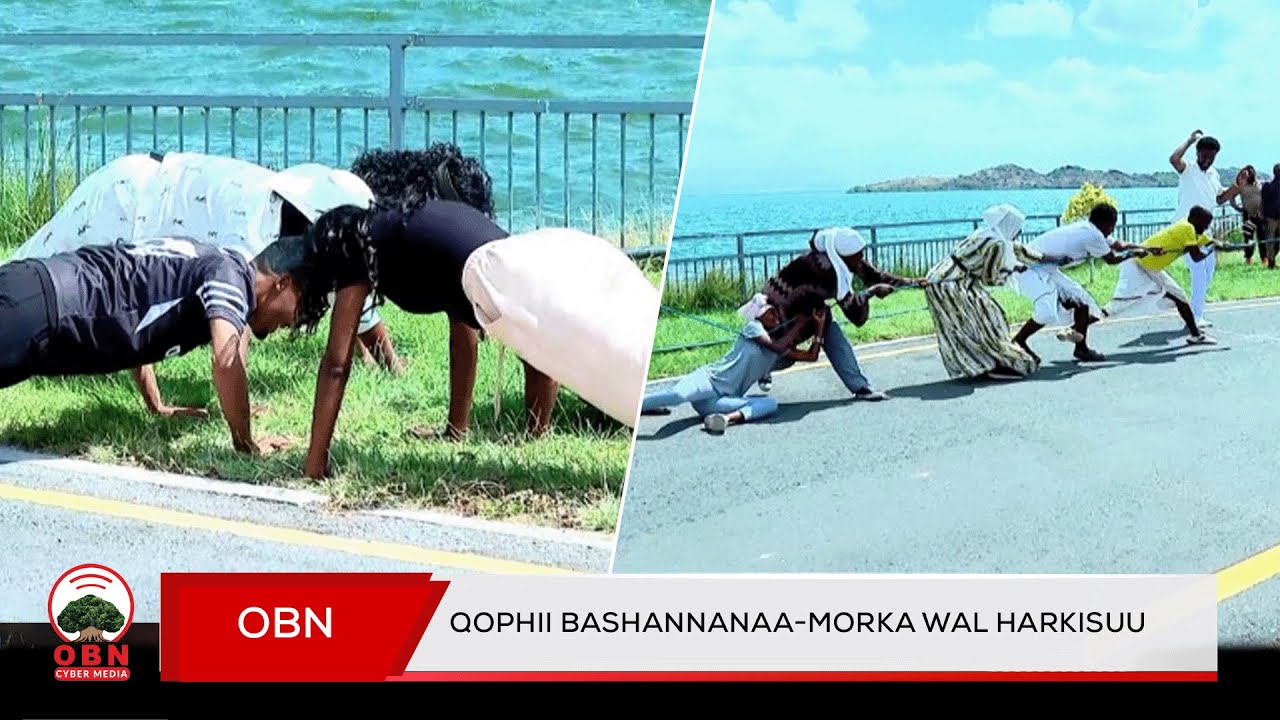 Qophii Bashannanaa-Morka Wal Harkisuu