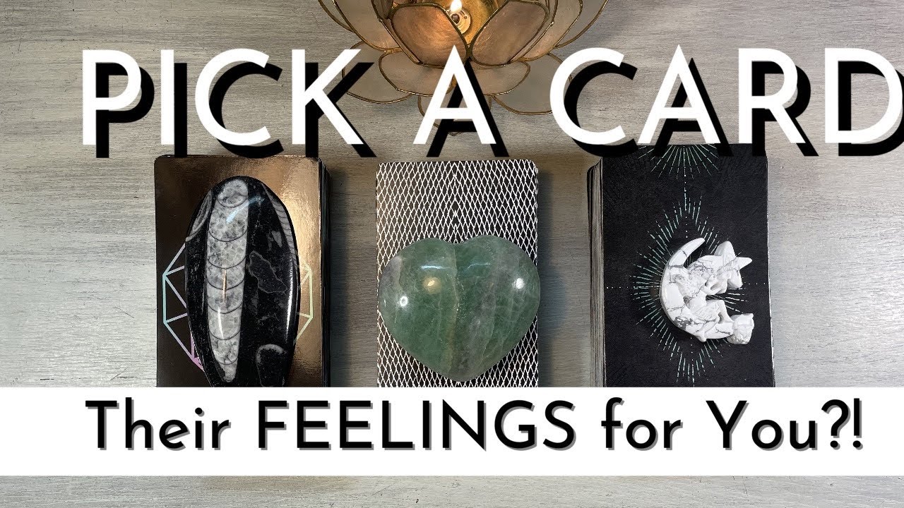 💗🥺⚡️ How is He/She/They FEELING about YOU?!?   Pick A Card   (Timeless) LOVE Psychic Tarot Reading