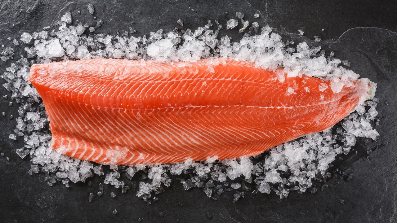 The Perfect Slice🐟🐠🍣🥢