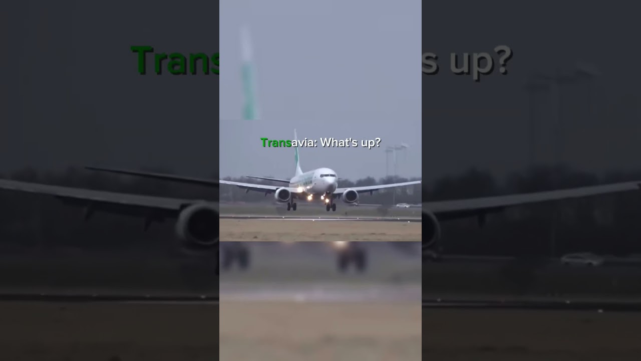 The Top 5.💀 #avgeek #ryanair #wizzair #transavia #easyjet #eurowings #boeingaircraft #airbus
