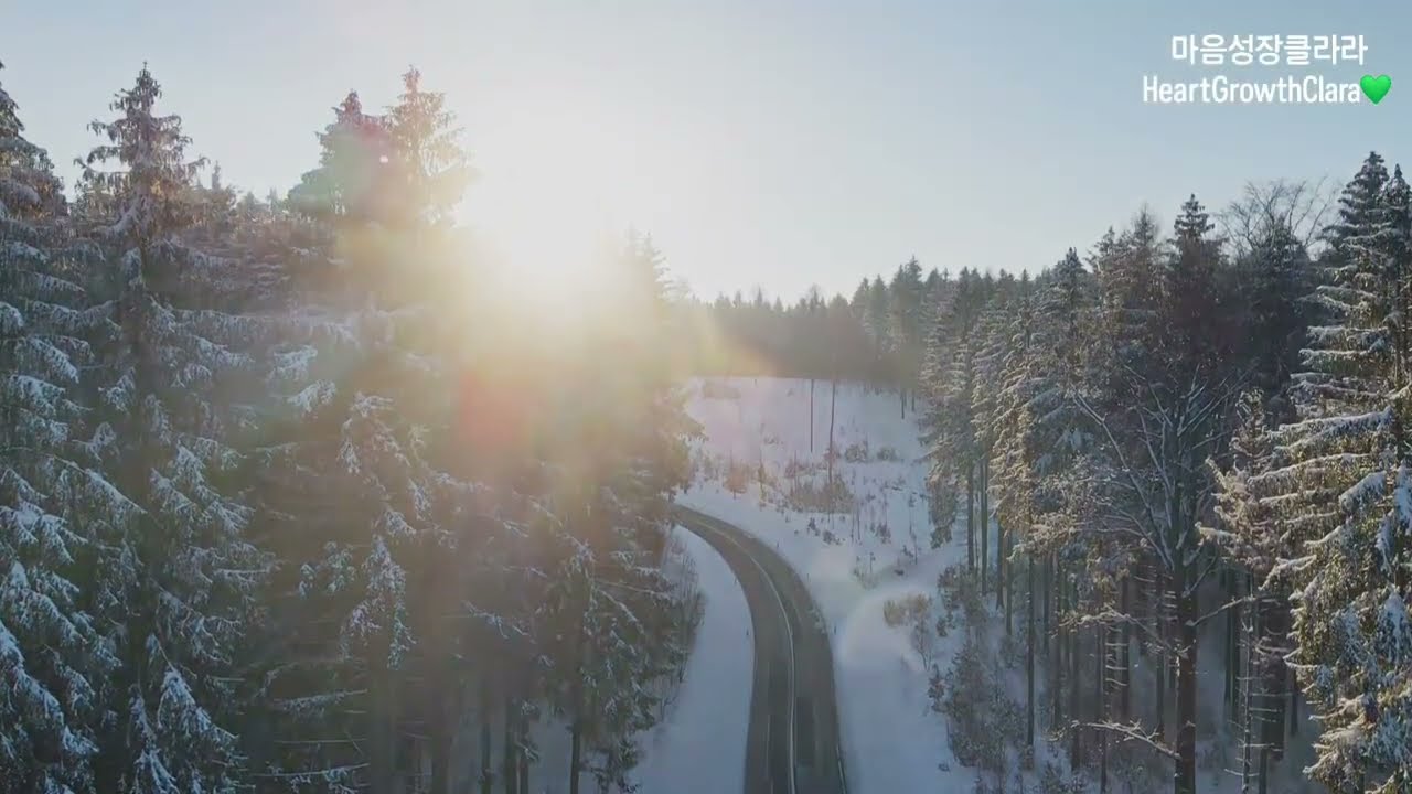 [마음성장클라라💚] 겨울 오후, 마음이 천천히 풀리는 감성 힐링 45분 | Soft Winter Afternoon Healing Music to Unwind (45 Min)