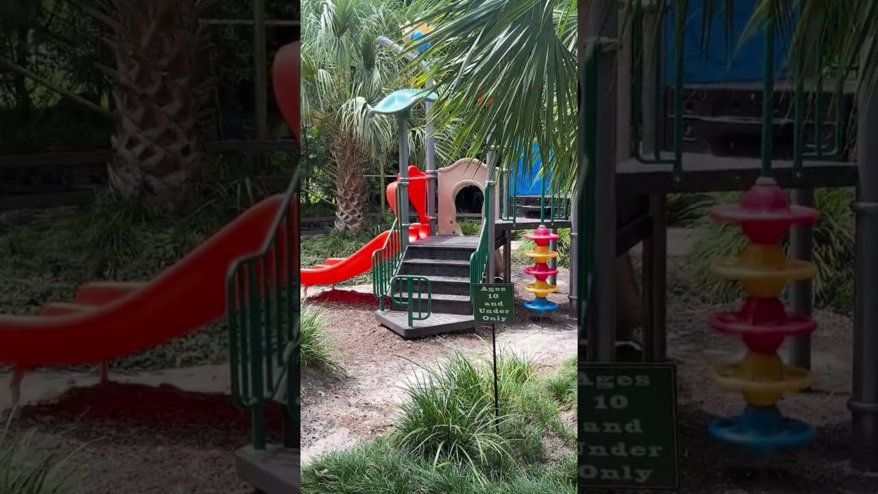 A Walk Through the Children's Garden at Kanapaha Botanical Gardens in Gainesville, Florida #kanapaha