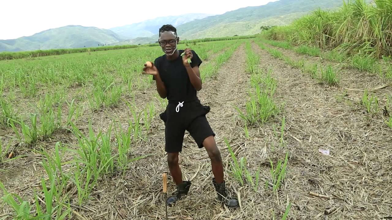 Weh Garbage a Go? - COMPOST IT! (starring Prince Pine)