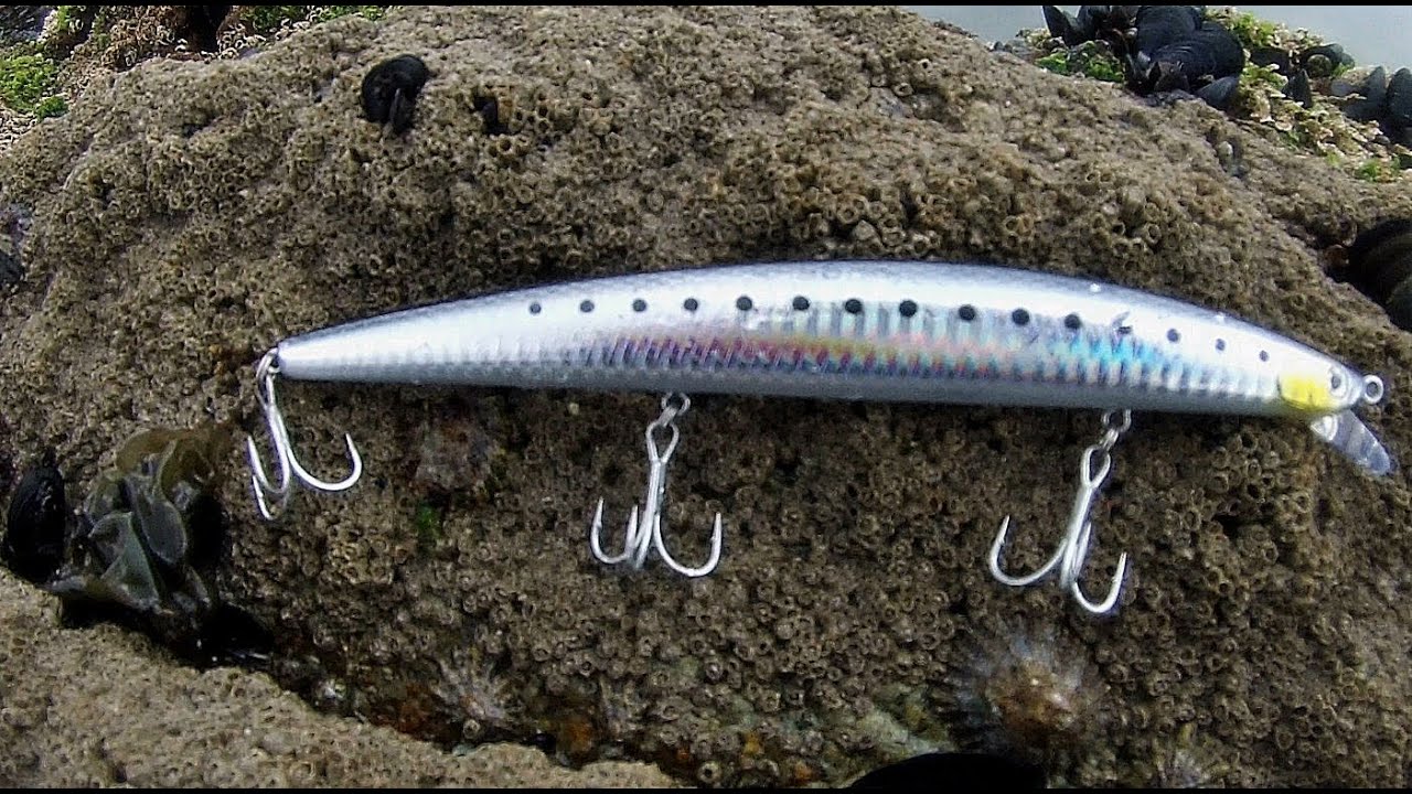 Pesca Com Amostras Spinning - Teste a várias
