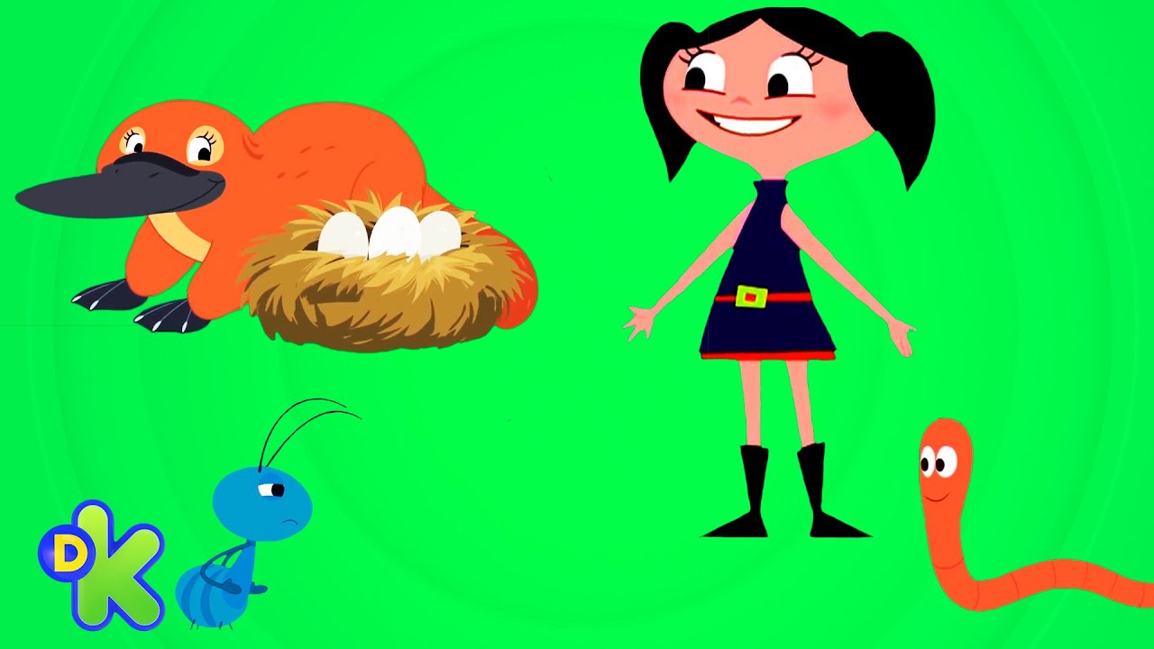 Luna encontra três animais incríveis | O Show Da Luna | Discovery Kids Brasil