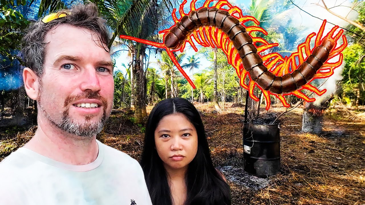 THE SUCCESSES AND FAILURES OF LIVING ON AN ISLAND | BITTEN BY A POISONOUS CENTIPEDE | ISLAND LIFE