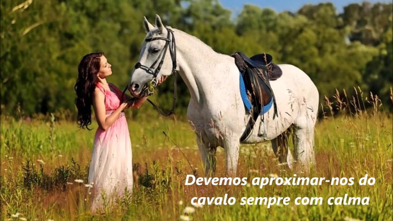Dicas para iniciantes com cavalos