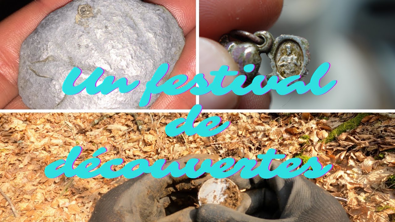 Une forêt toujours pleine de surprises ! avec une grosse monnaie en Argent
