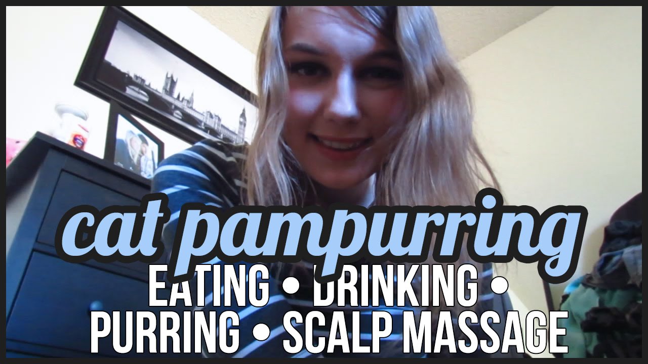 [BINAURAL ASMR] Cat Pampurring (eating, drinking, brushing, scalp massage, purring)