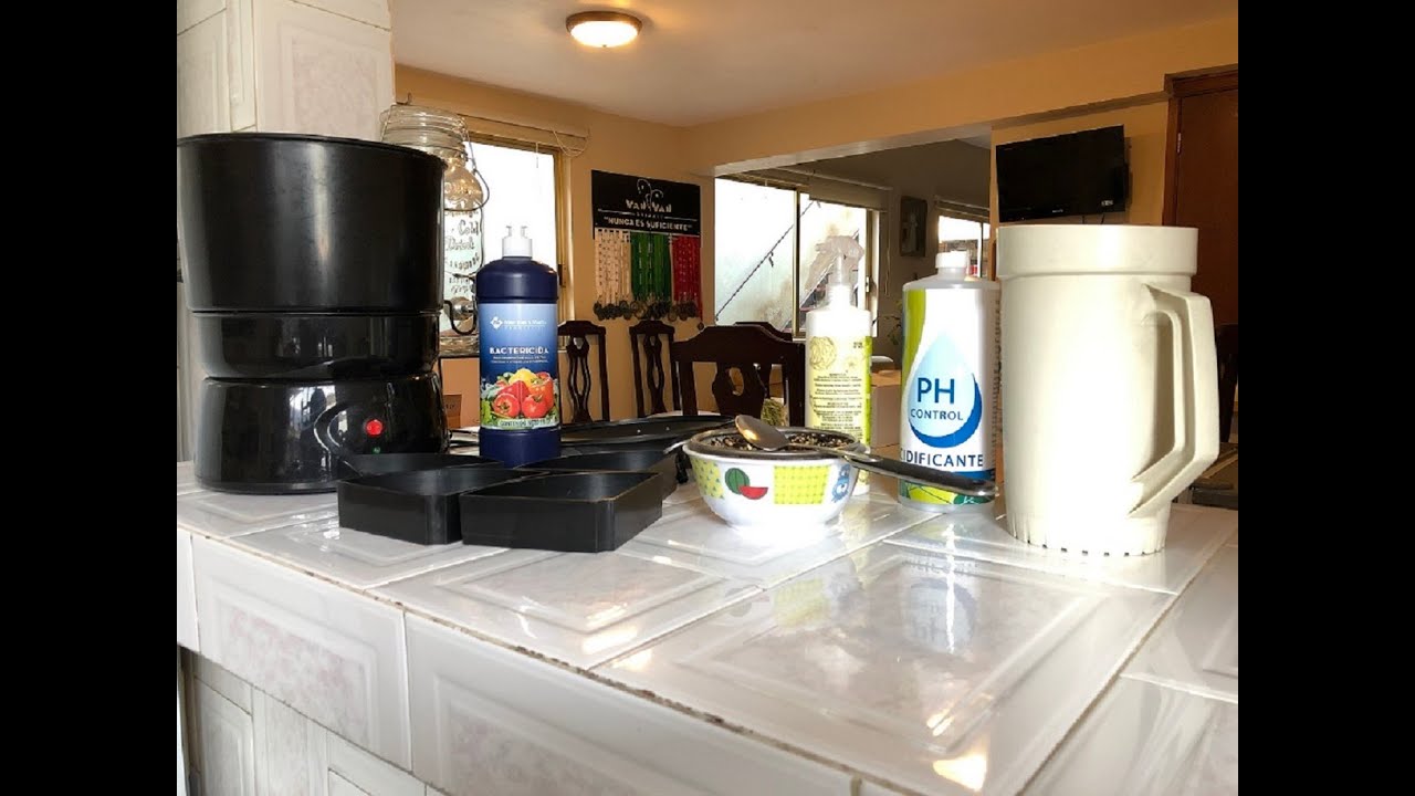 Preparación de Semillas Germinadas para la Temporada de Cría