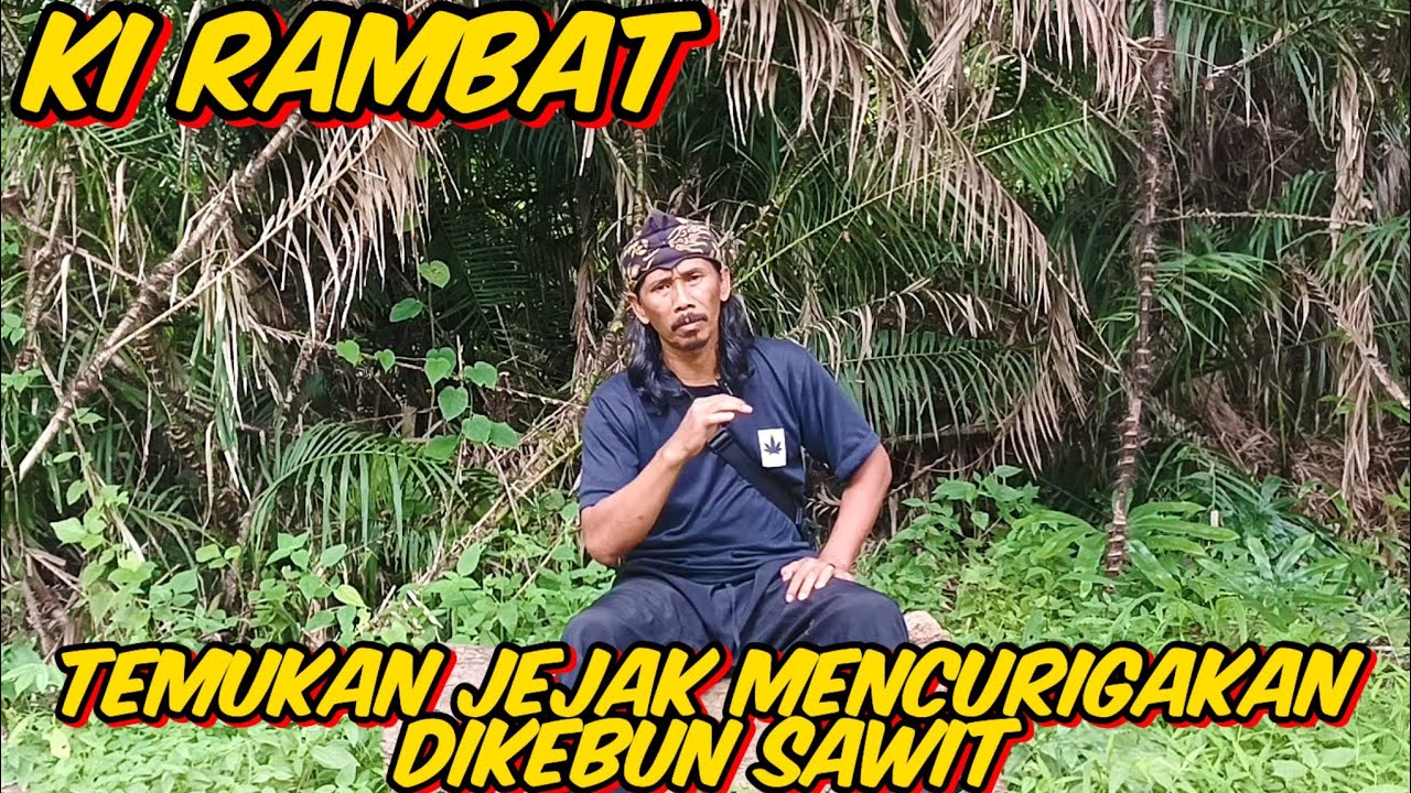 🔴 KI RAMBAT KELILINGI KEBUN SAWIT TEMUKAN JEJAK MENCURIGAKAN